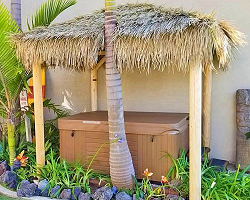 10x10 Mexican Palm - (custom cutout shown)